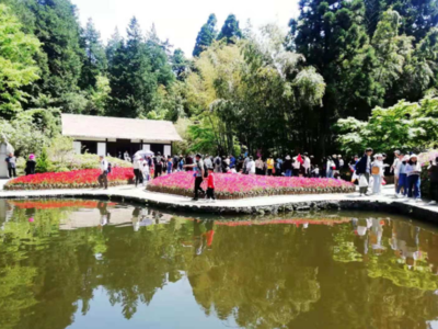 小长假前三天，庐山游客接待量创今年新高，景区管理举措成效显著