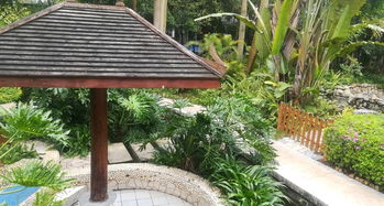 南宁嘉和城温泉谷游览全攻略 门票、地址、游玩路线与管理解析