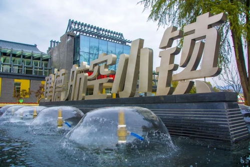 福利来袭！建德航空小镇获评国家4A级景区，免费温泉等您来畅享